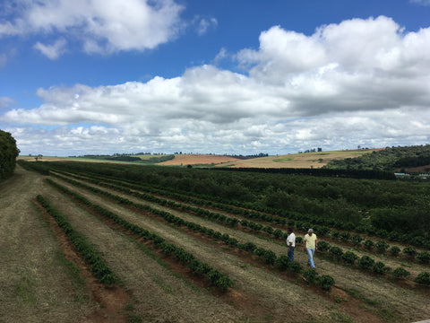 How the Coffee Started and the History Behind it ?