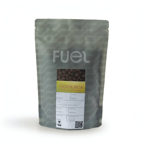 Filter Costa Rica Black Honey Geisha 250 grams