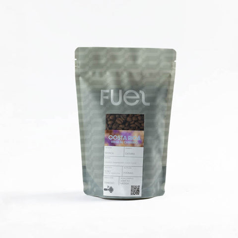 Filter Costa Rica Black Honey Caturra 250 grams