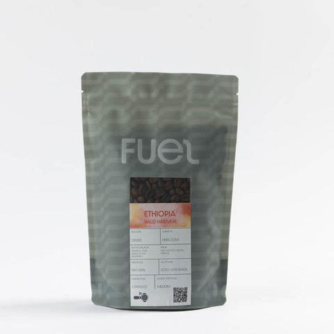 Espresso Ethiopia Halo Hartume