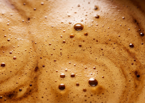 Fuel Specialty Coffee