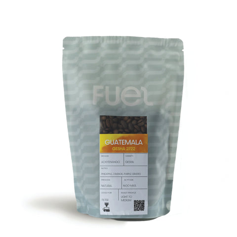 Filter Guatemala Geisha 250 grams