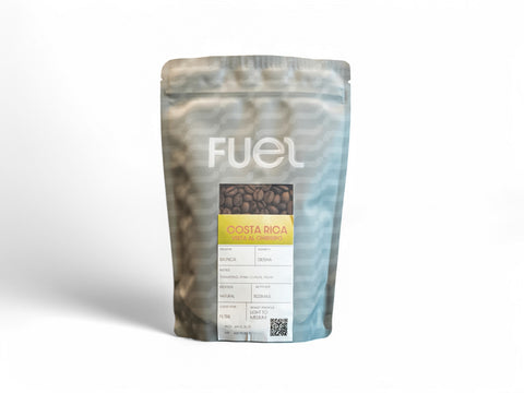 Filter Costa Rica Natural 250 grams